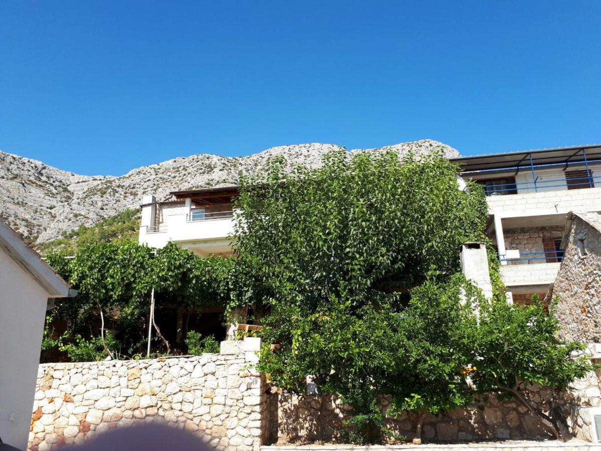 Apartments With A Parking Space Ivan Dolac, Hvar - 8753 Exteriör bild